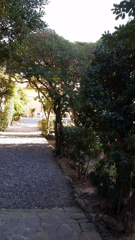 Villa Salvini Марина ди Пиза Екстериор снимка